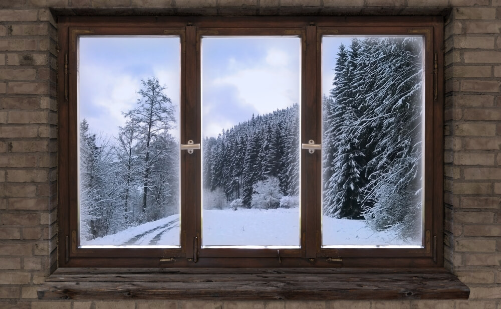 Avantaje tâmpărie pvc Ferestre din pvc prin care se vede o pădure cu zăpadă