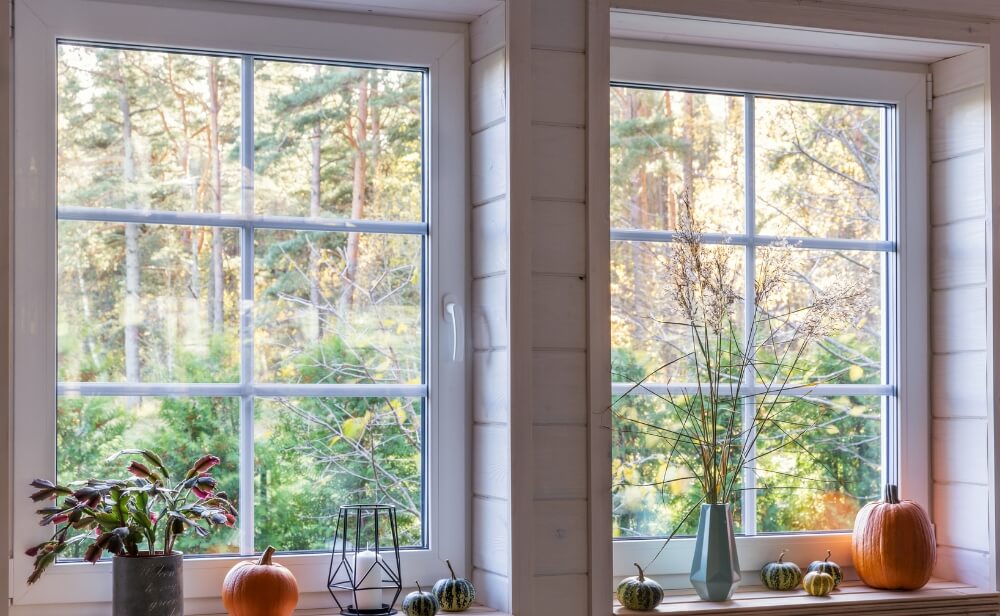 Ferestre PVC o fereastră din pvc închisă prin care se vede o pădure